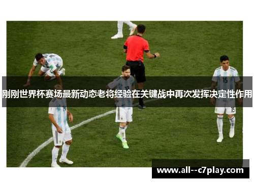 刚刚世界杯赛场最新动态老将经验在关键战中再次发挥决定性作用
